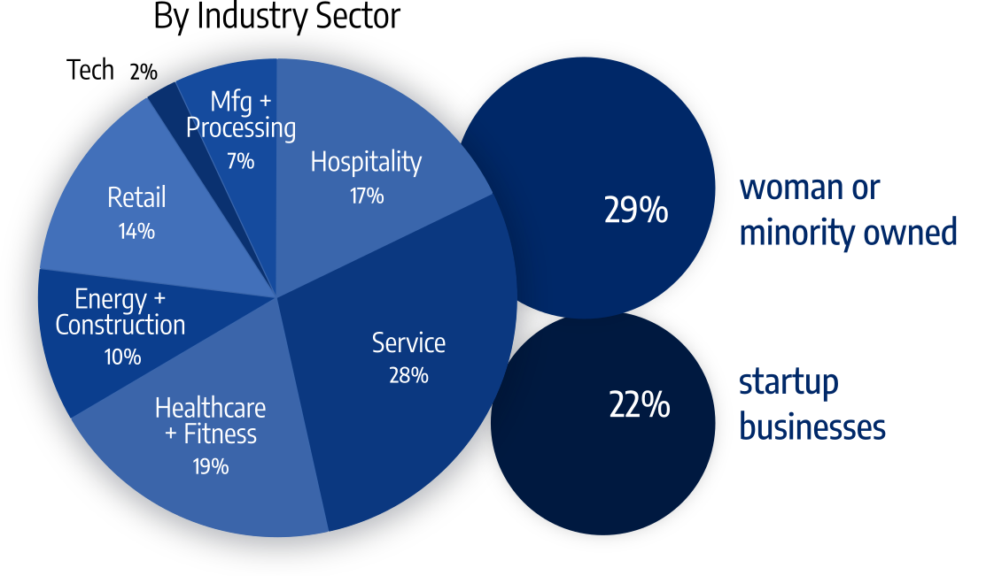22% startup business. 29% women or minority owned. 10% energy and construction. 19% healthcare and fitness. 17% hospitality. 7% manufacturing and processing. 14% retail. 28% service, 2% technology.